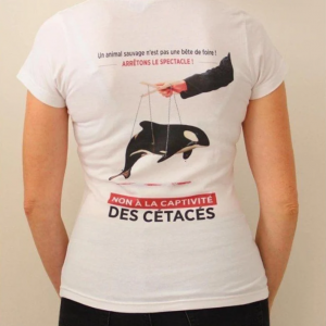 T-Shirt - Femmes - col rond ou V - coton bio
