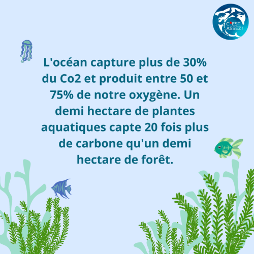 L’océan capture… L'océan capture...